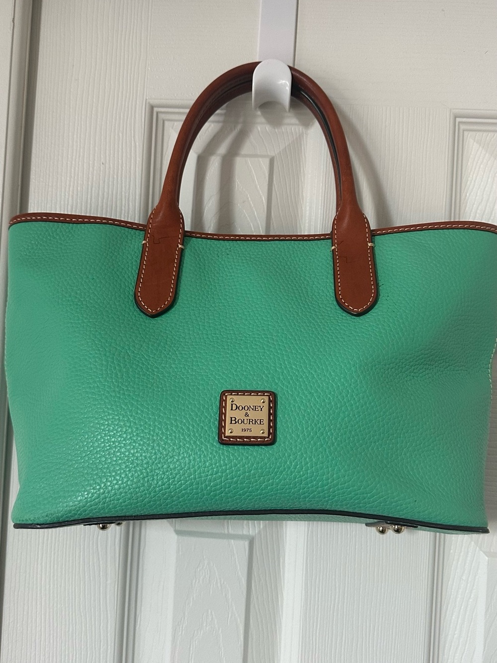 Dooney & Bourke Mint Green Leather Tote with Brown Trim
